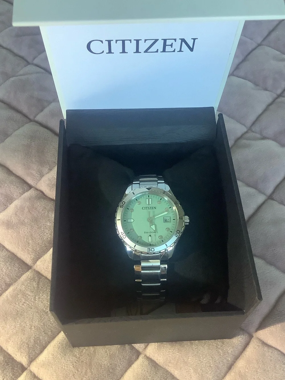 Citizen FE6170-88L Eco Drive Womens Watch